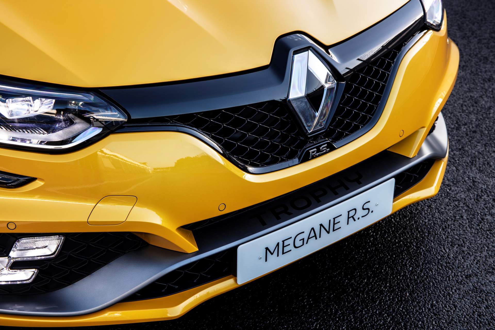2019 Renault Megane R.S. Trophy Grill Wallpapers #38 of 49