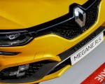 2019 Renault Megane R.S. Trophy Grill Wallpapers 150x120