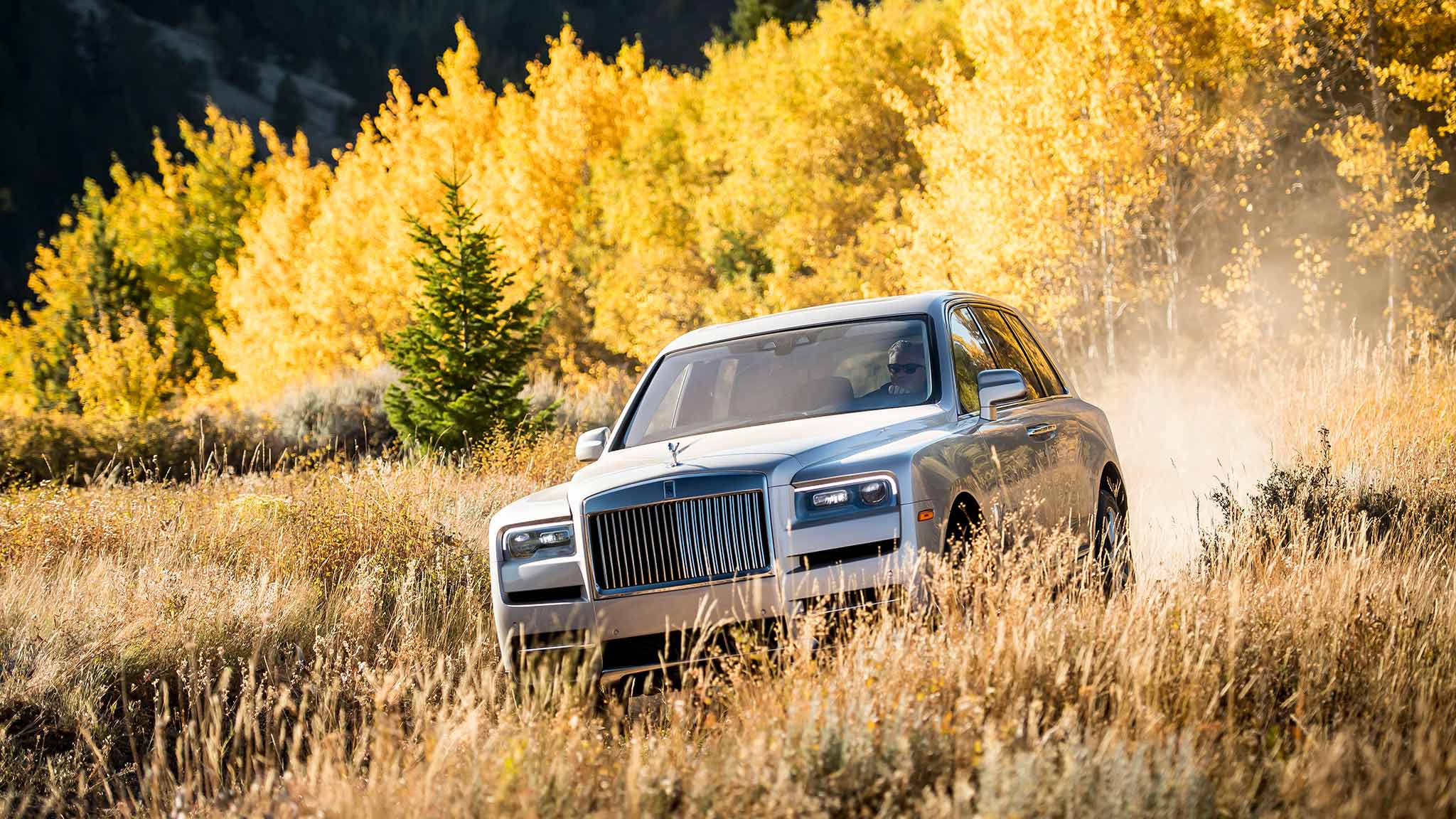 2019 Rolls-Royce Cullinan (Color: White Sands) Front Three-Quarter Wallpapers #58 of 122