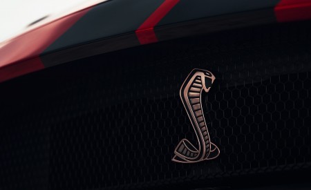 2020 Ford Mustang Shelby GT500 Badge Wallpapers 450x275 (67)