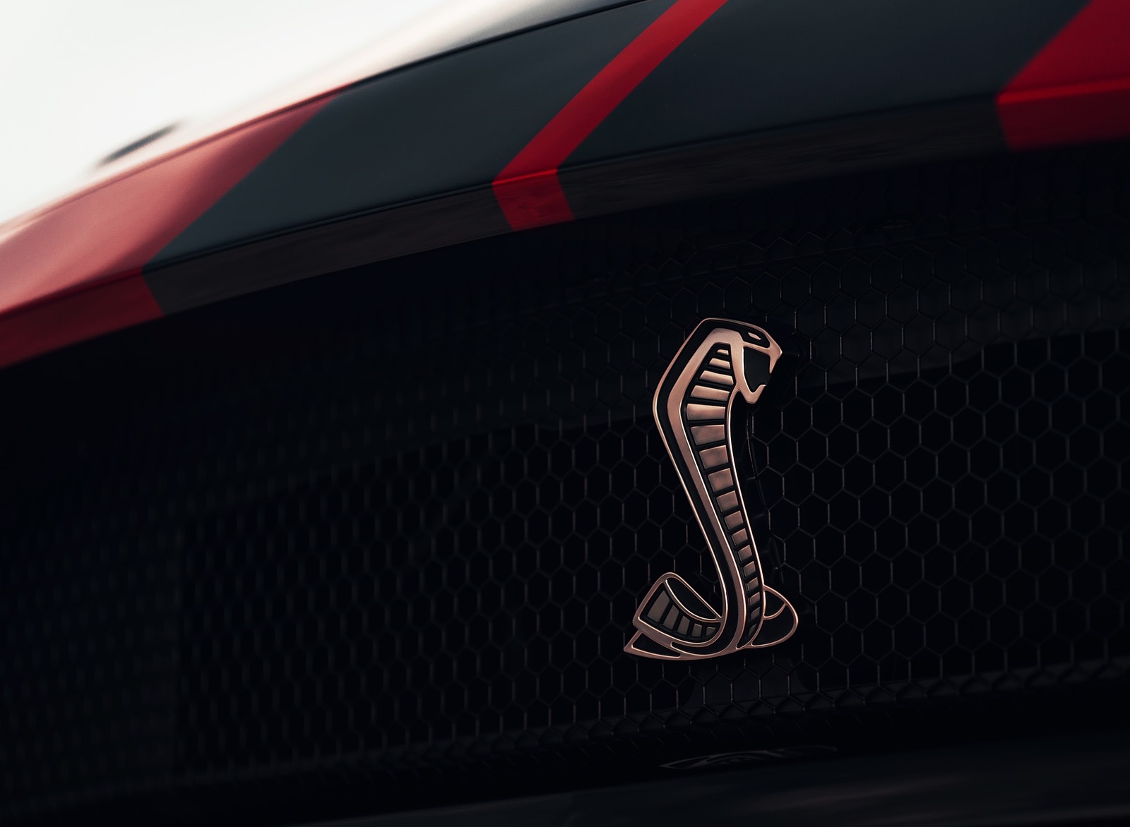 2020 Ford Mustang Shelby GT500 Badge Wallpapers #67 of 115