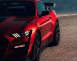 2020 Ford Mustang Shelby GT500 Detail Wallpapers 150x120 (51)