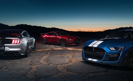 2020 Ford Mustang Shelby GT500 Detail Wallpapers 450x275 (19)