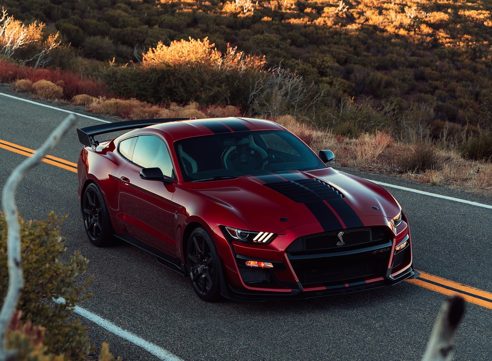 2020 Ford Mustang Shelby GT500 Front Three-Quarter Wallpapers #20 of 115