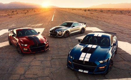 2020 Ford Mustang Shelby GT500 Front Three-Quarter Wallpapers 450x275 (16)