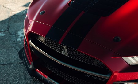 2020 Ford Mustang Shelby GT500 Grill Wallpapers 450x275 (46)