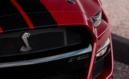 2020 Ford Mustang Shelby GT500 Grill Wallpapers 450x275 (53)