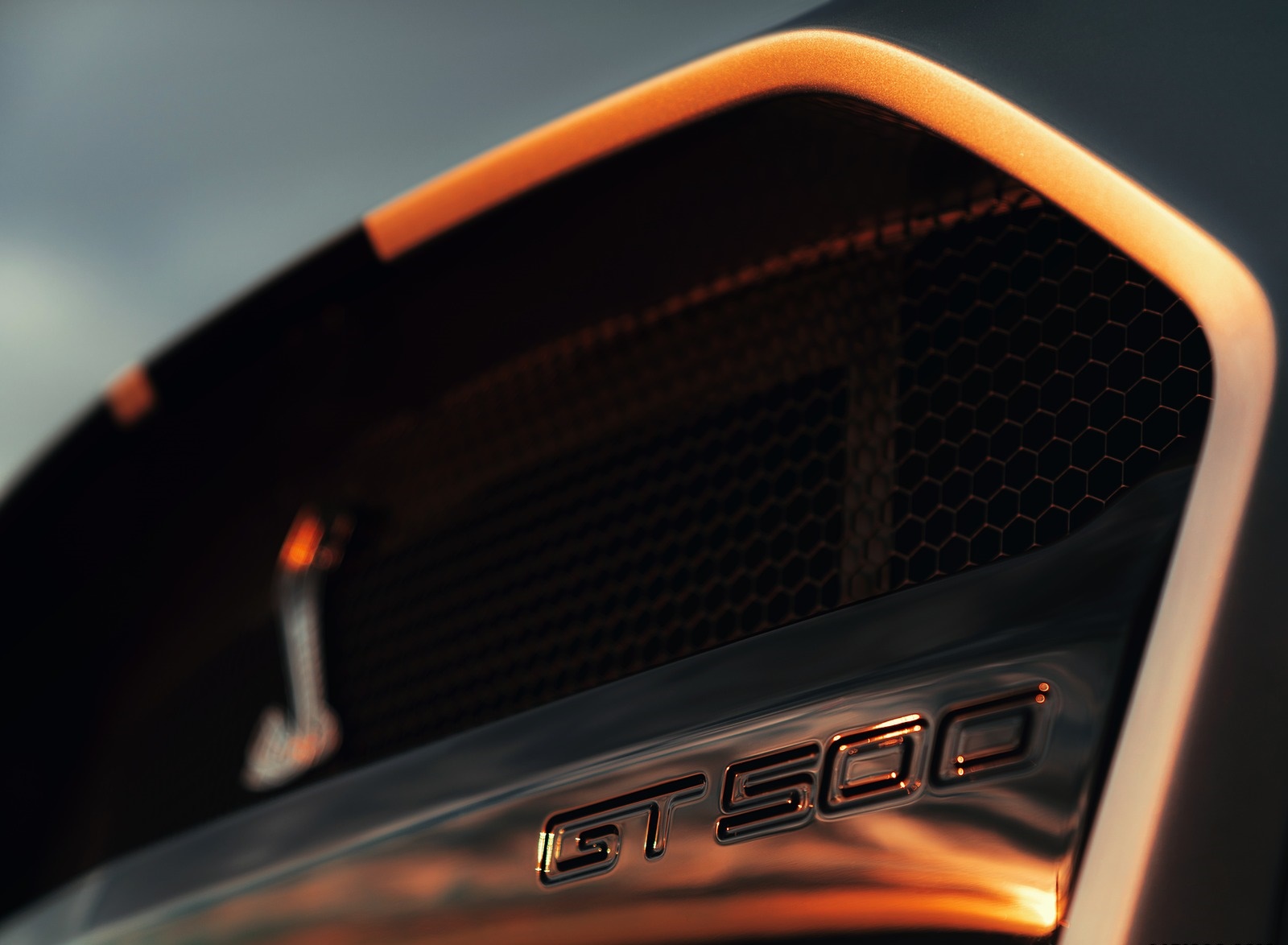 2020 Ford Mustang Shelby GT500 Grill Wallpapers #62 of 115