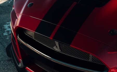2020 Ford Mustang Shelby GT500 Grill Wallpapers 450x275 (47)