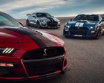 2020 Ford Mustang Shelby GT500 Grill Wallpapers 150x120 (15)