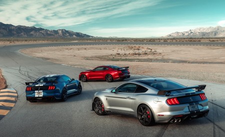 2020 Ford Mustang Shelby GT500 Rear Three-Quarter Wallpapers 450x275 (8)