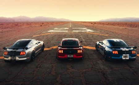 2020 Ford Mustang Shelby GT500 Rear Wallpapers 450x275 (9)