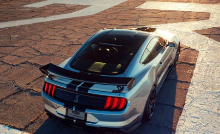 2020 Ford Mustang Shelby GT500 Top Wallpapers 450x275 (101)