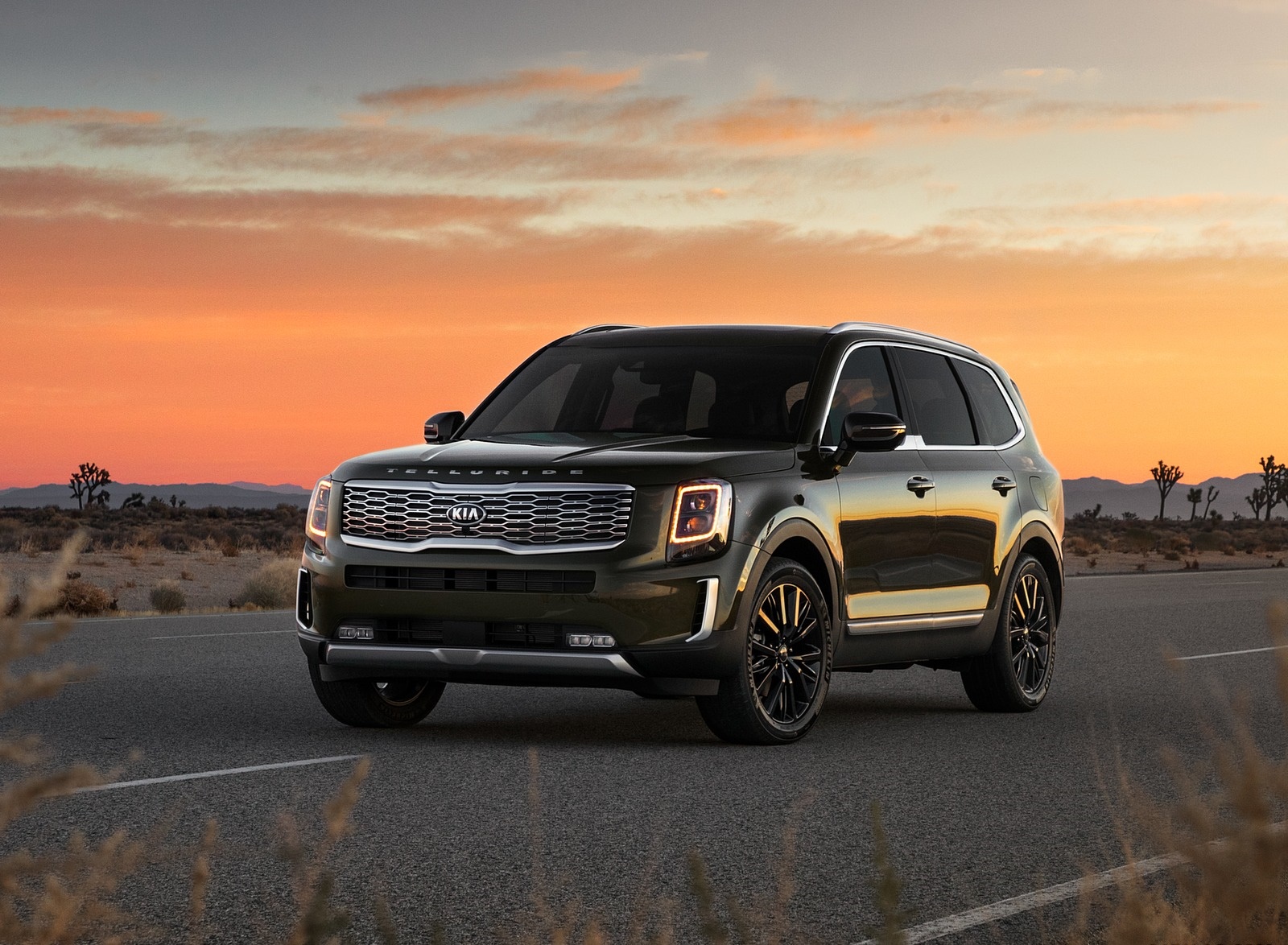 2020 Kia Telluride Front Three-Quarter Wallpapers #6 of 19