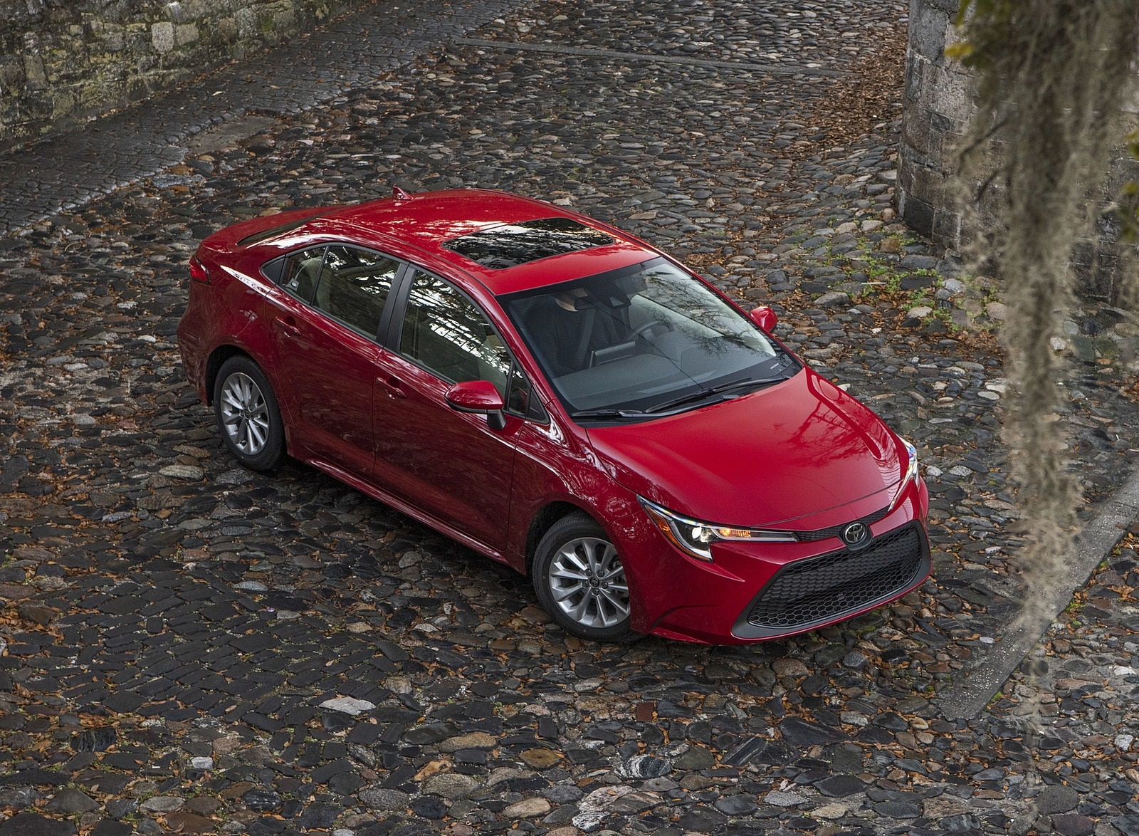 2020 Toyota Corolla LE (Color: Barcelona Red Metallic) Top Wallpapers #68 of 77