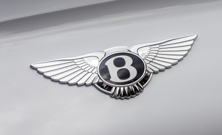 2018 Bentley Continental GT Supersports Convertible (Color: Ice White) Badge Wallpapers 450x275 (107)