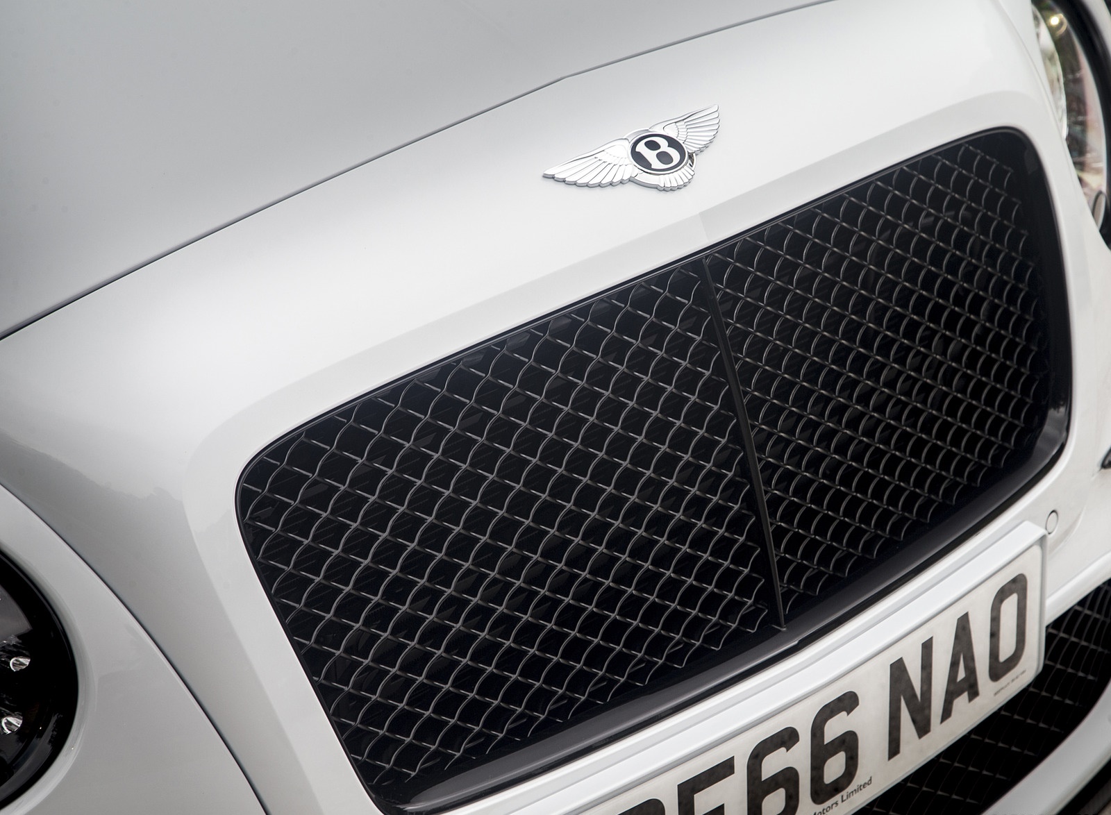 2018 Bentley Continental GT Supersports Convertible (Color: Ice White) Grill Wallpapers #105 of 178