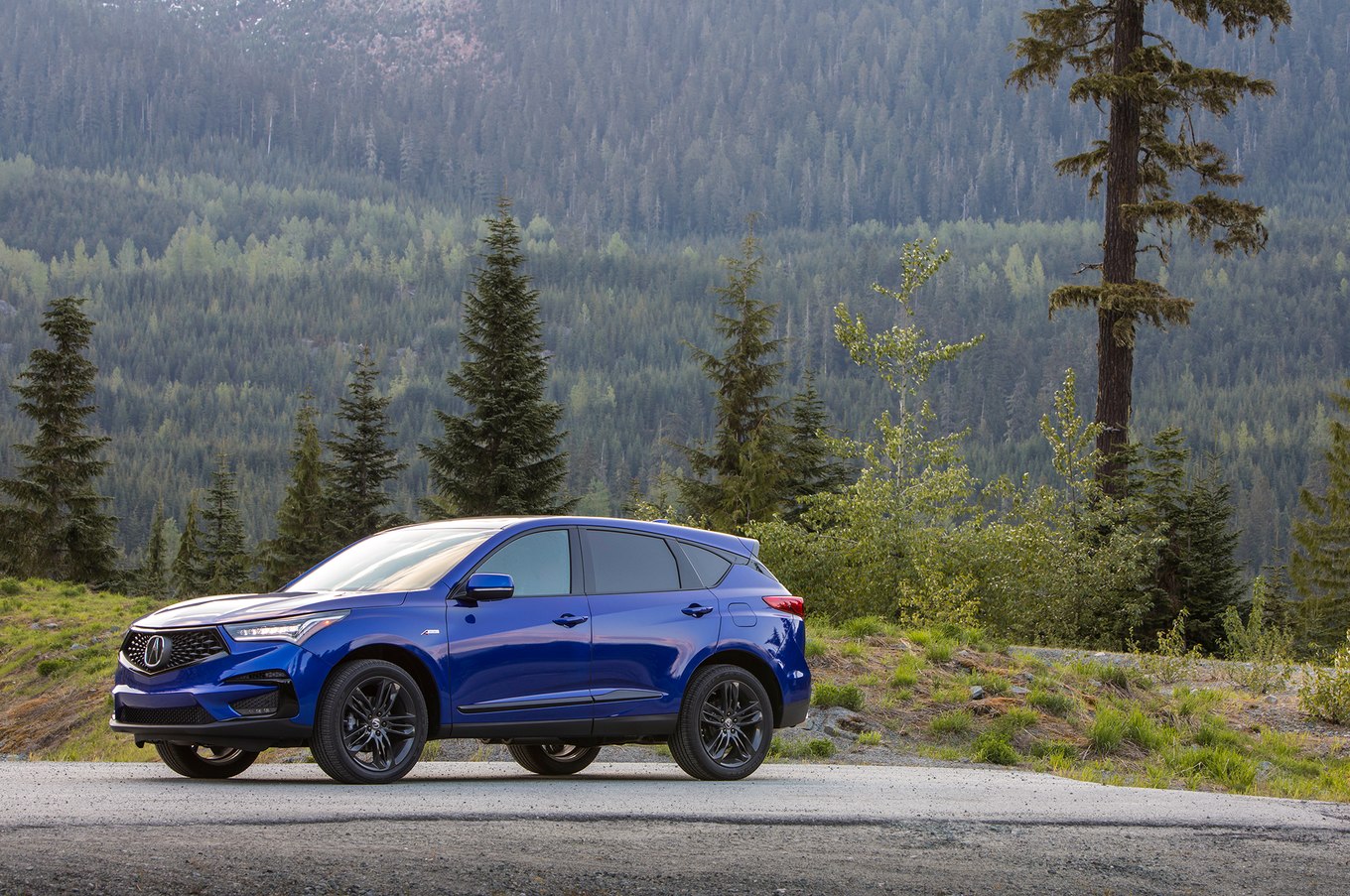 2019 Acura RDX A-Spec Front Three-Quarter Wallpapers #49 of 191
