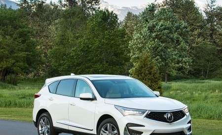 2019 Acura RDX Front Three-Quarter Wallpapers 450x275 (138)