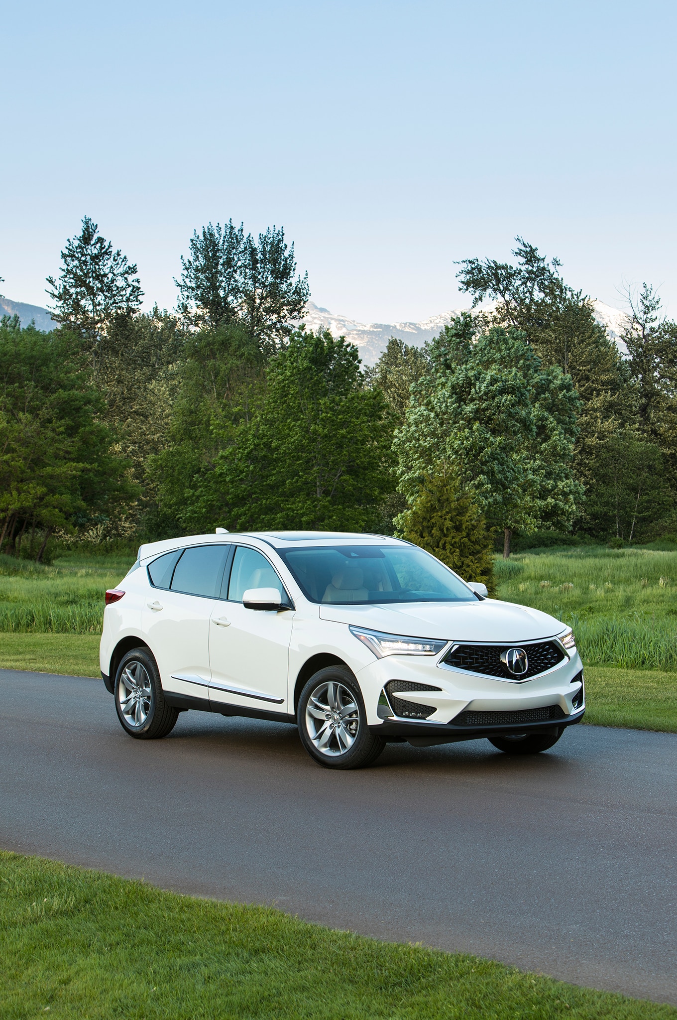 2019 Acura RDX Front Three-Quarter Wallpapers #138 of 191