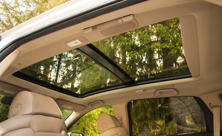 2019 Acura RDX Panoramic Roof Wallpapers 450x275 (173)