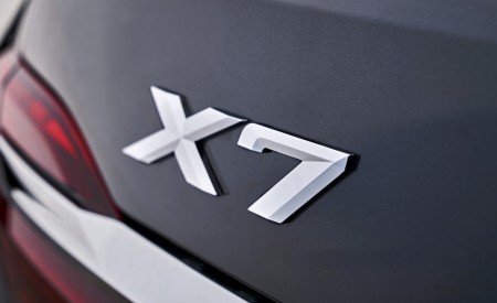 2019 BMW X7 (Color: Arctic Grey) Badge Wallpapers 450x275 (28)
