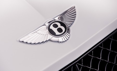2019 Bentley Continental GT Convertible Badge Wallpapers 450x275 (82)