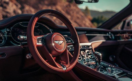 2019 Bentley Continental GT Convertible Interior Cockpit Wallpapers 450x275 (59)