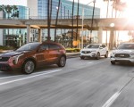 2019 Cadillac XT4 with 2019 Infiniti QX50 and 2019 Acura RDX Front Three-Quarter Wallpapers 150x120