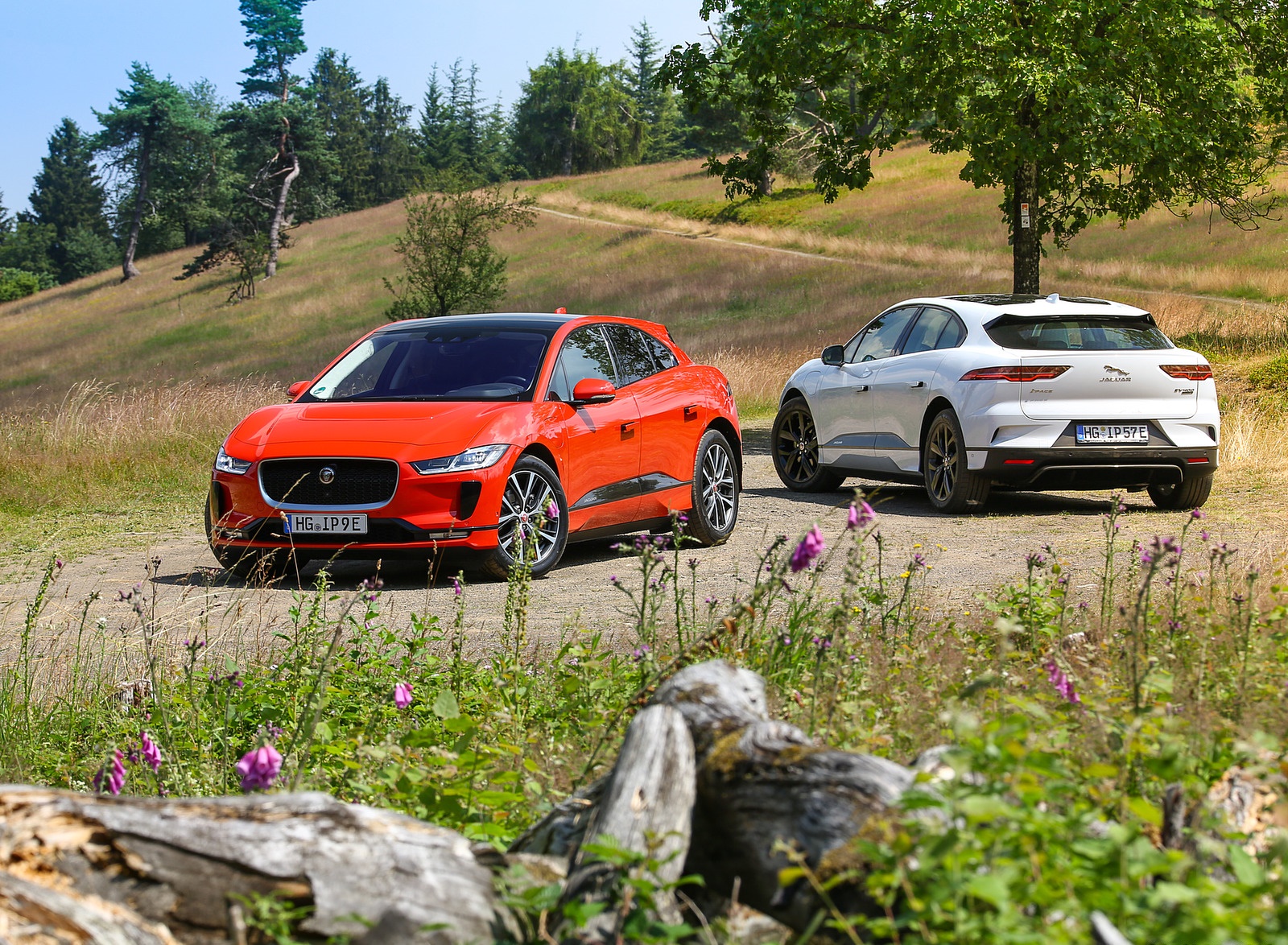 2019 Jaguar I-PACE EV400 AWD HSE First Edition (Color: Photon Red) Wallpapers #53 of 192