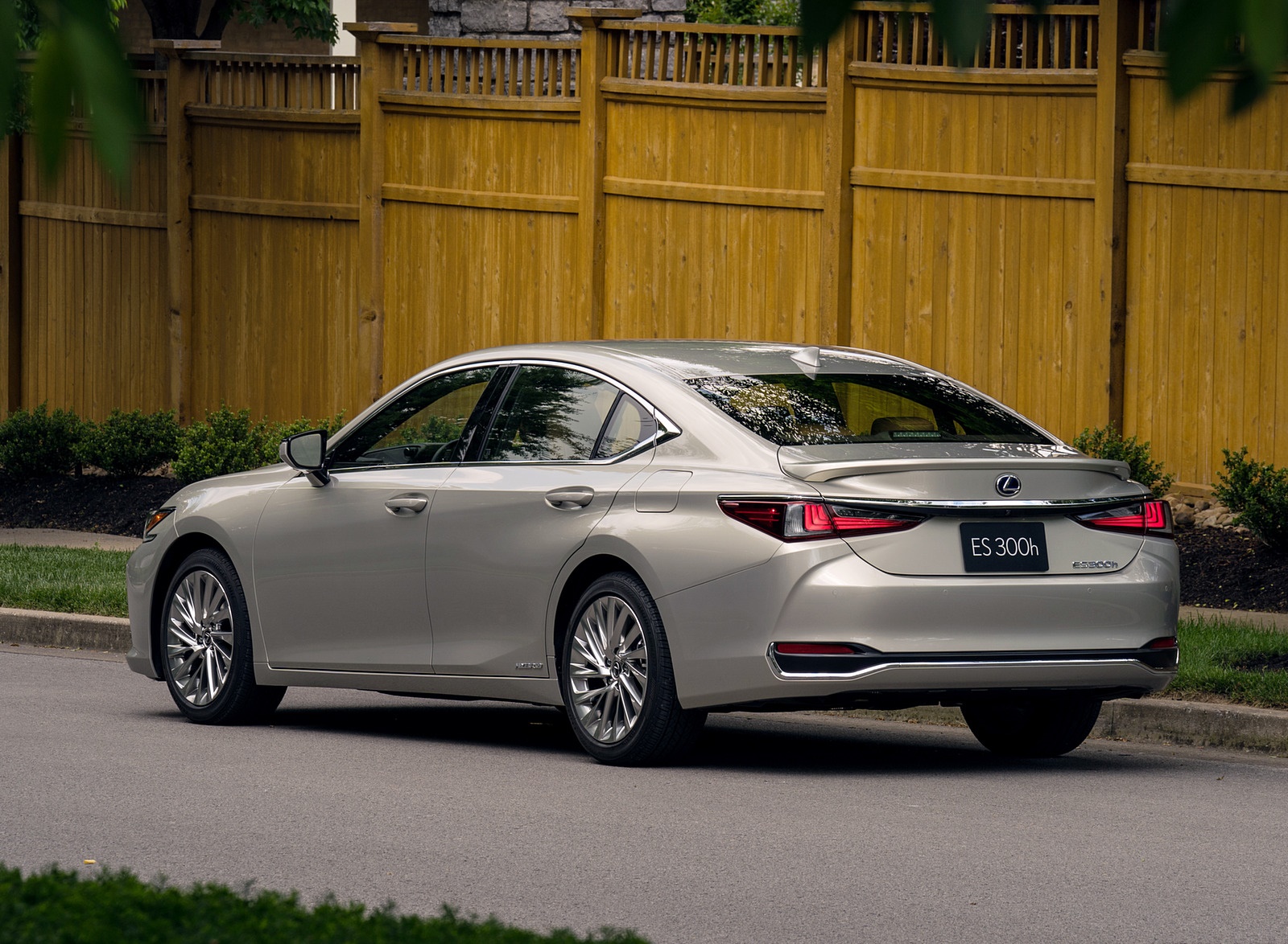 2019 Lexus ES 300h Rear Three-Quarter Wallpapers #66 of 75