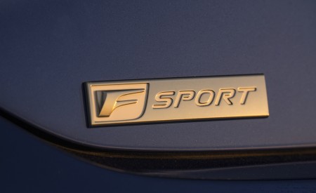 2019 Lexus ES 350 F-Sport Badge Wallpapers 450x275 (18)