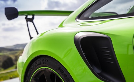2019 Porsche 911 GT3 RS (Color: Lizard Green) Side Vent Wallpapers 450x275 (151)