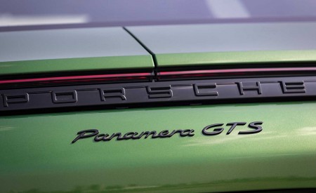 2019 Porsche Panamera GTS (Color: Mamba Green Metallic) Badge Wallpapers 450x275 (44)