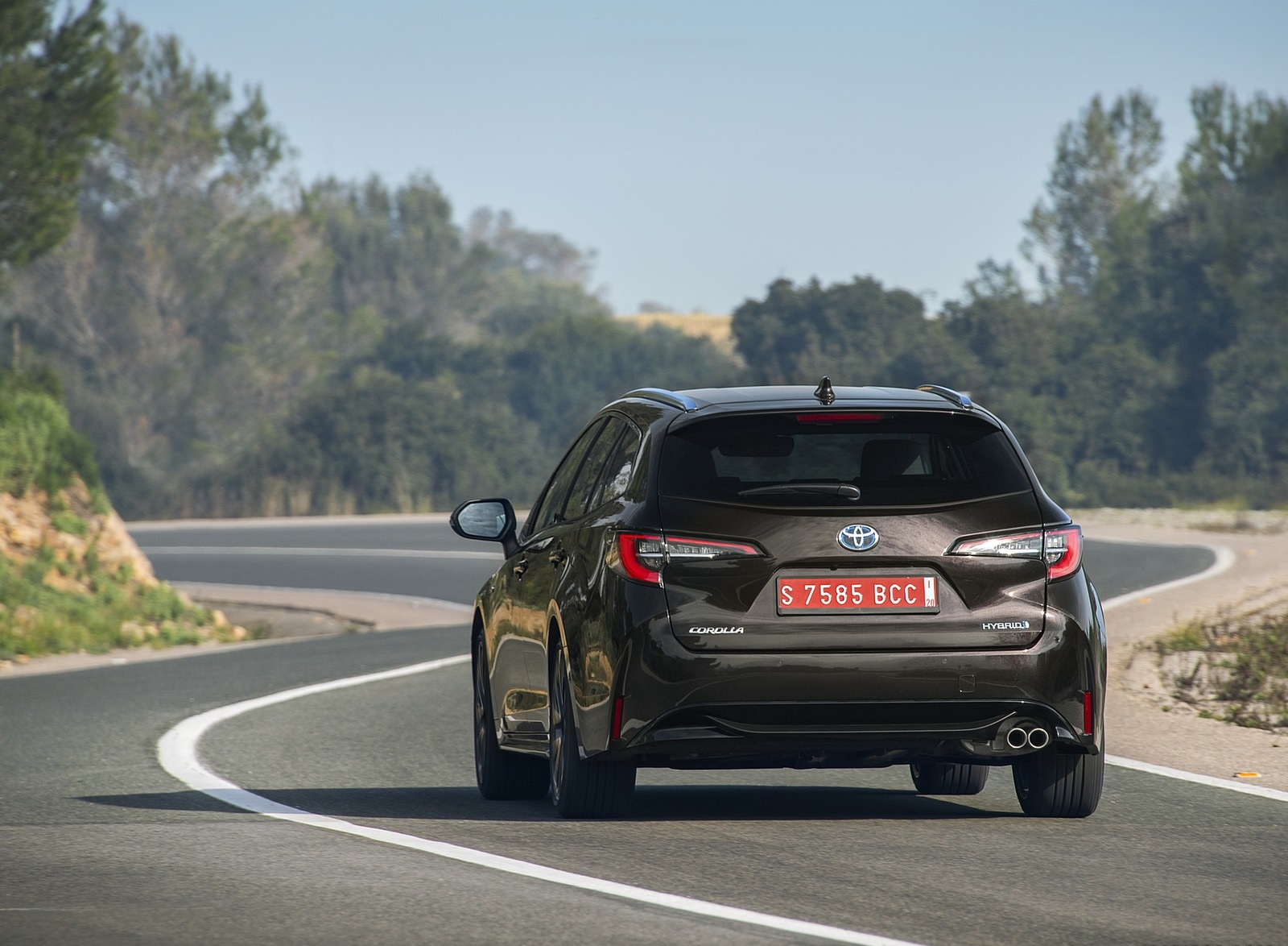 2019 Toyota Corolla Touring Sports 2.0L Brown (EU-Spec) Rear Wallpapers (5)