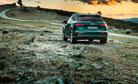 2020 Audi SQ5 TDI (Color: Azores Green Metallic) Rear Wallpapers 450x275 (4)