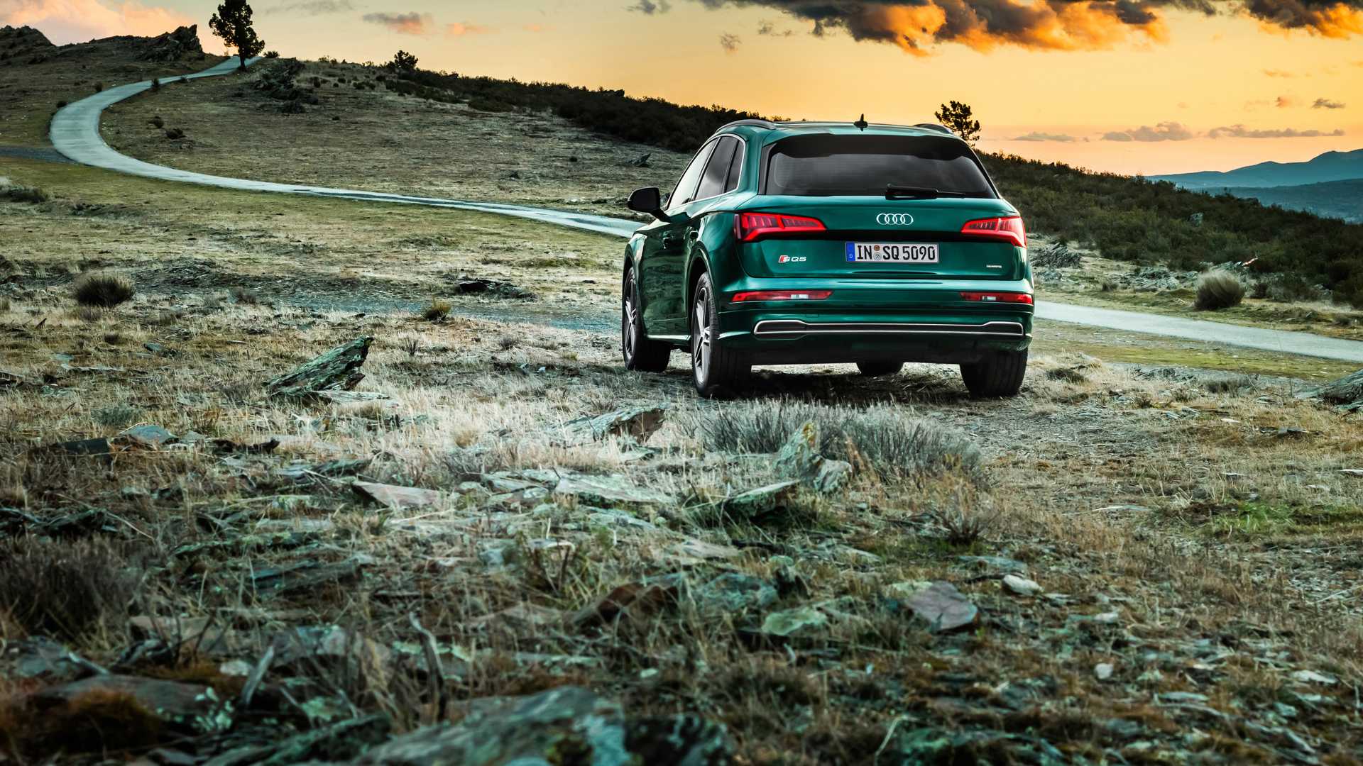 2020 Audi SQ5 TDI (Color: Azores Green Metallic) Rear Wallpapers (4)