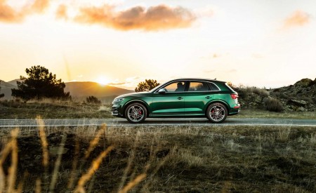 2020 Audi SQ5 TDI (Color: Azores Green Metallic) Side Wallpapers 450x275 (5)