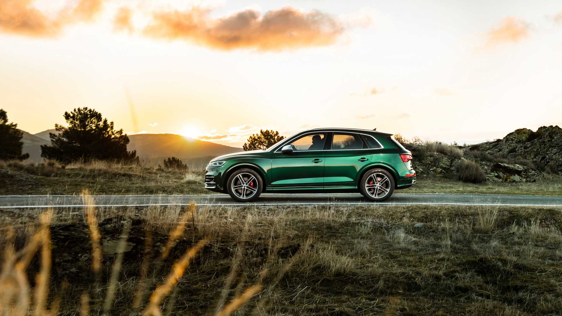 2020 Audi SQ5 TDI (Color: Azores Green Metallic) Side Wallpapers (5)