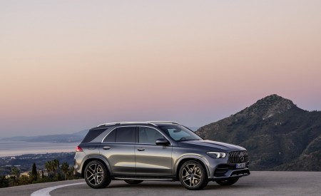 2020 Mercedes-AMG GLE 53 4MATIC+ (Color: Selenite Grey) Side Wallpapers 450x275 (22)