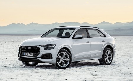 2019 Audi Q8 (Color: Glacier White) Front Three-Quarter Wallpapers 450x275 (196)