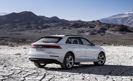 2019 Audi Q8 (Color: Glacier White) Rear Three-Quarter Wallpapers 450x275 (201)