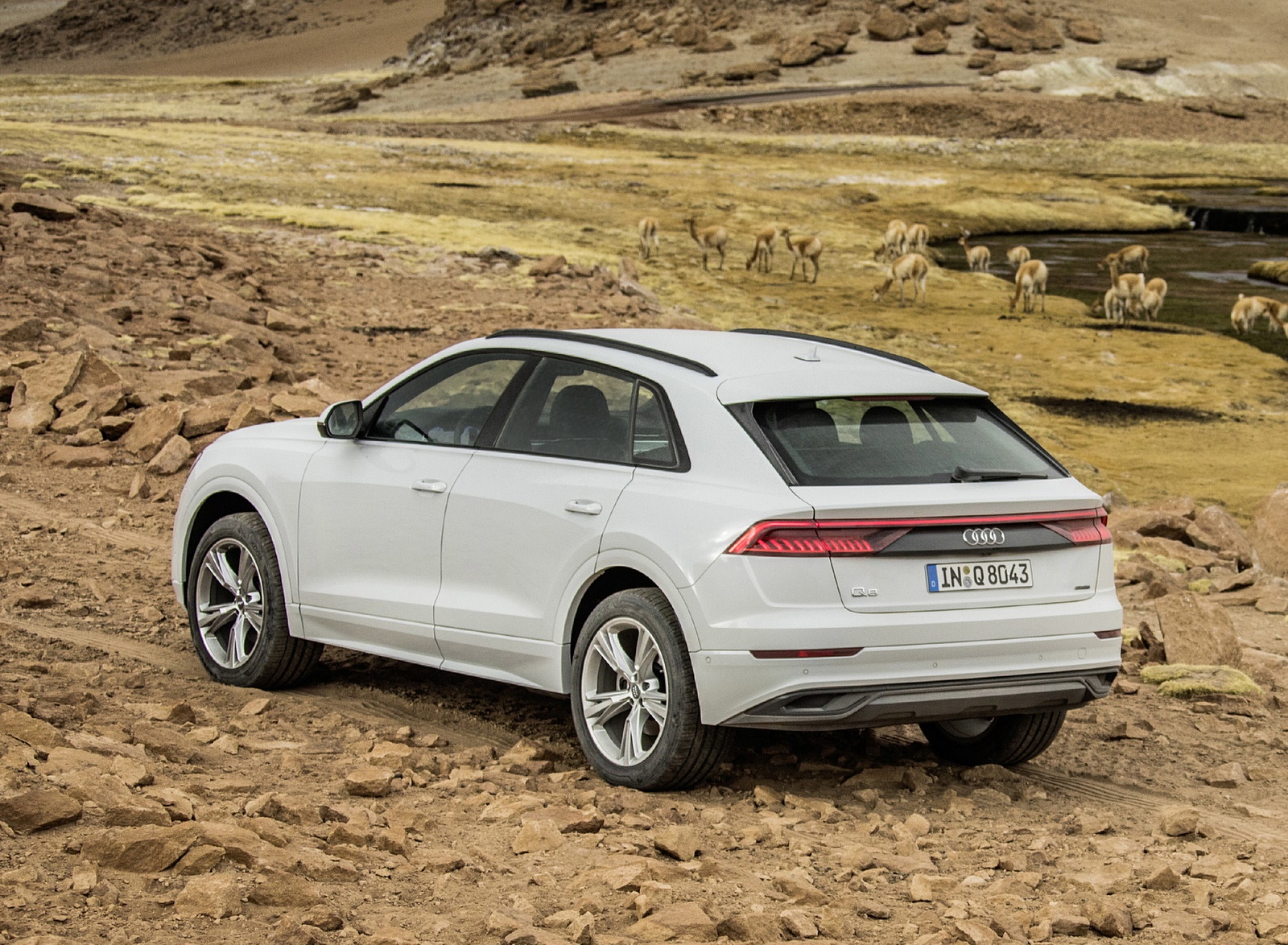 2019 Audi Q8 (Color: Glacier White) Rear Three-Quarter Wallpapers #220 of 260