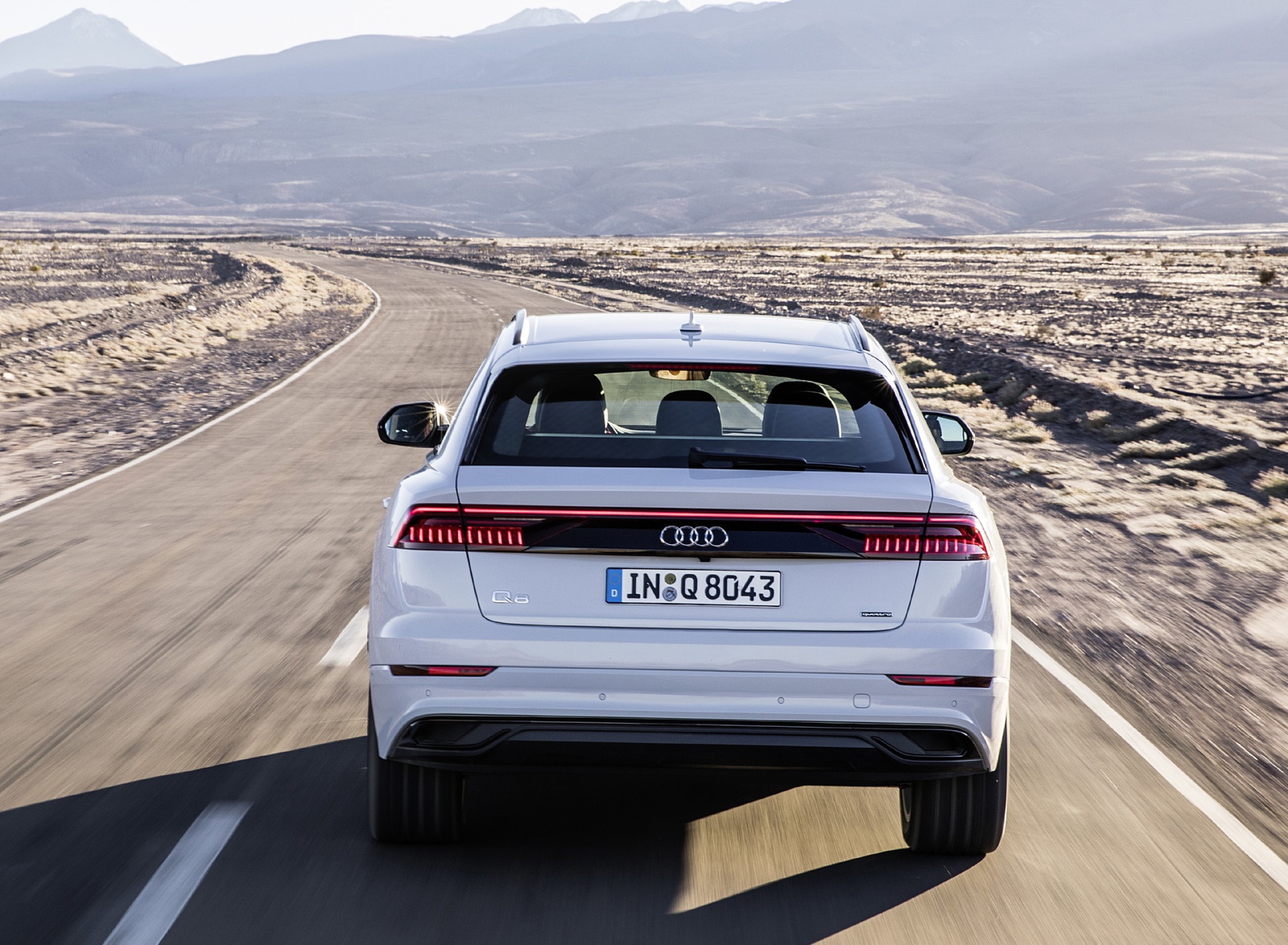 2019 Audi Q8 (Color: Glacier White) Rear Wallpapers #211 of 260