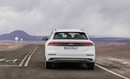 2019 Audi Q8 (Color: Glacier White) Rear Wallpapers 450x275 (213)