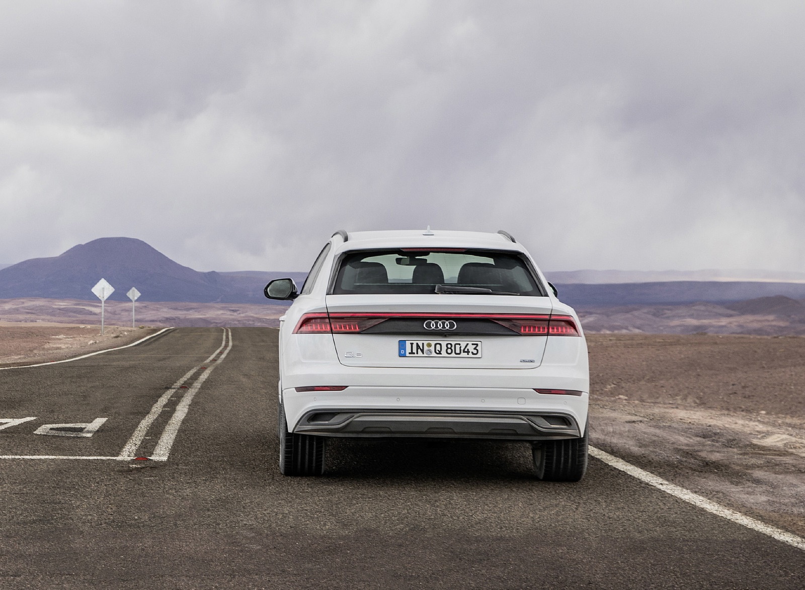 2019 Audi Q8 (Color: Glacier White) Rear Wallpapers #213 of 260