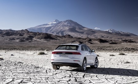 2019 Audi Q8 (Color: Glacier White) Rear Wallpapers 450x275 (205)