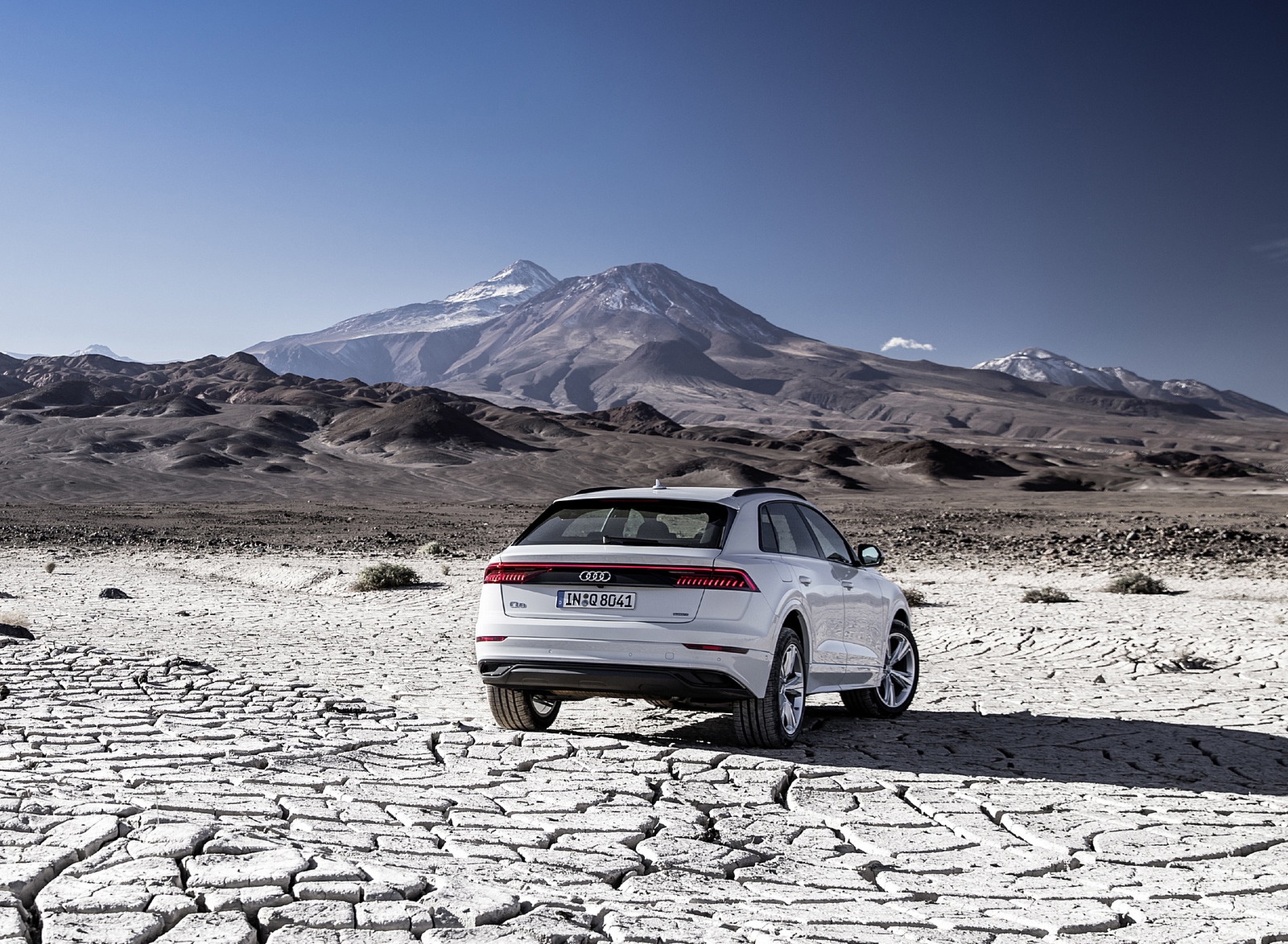 2019 Audi Q8 (Color: Glacier White) Rear Wallpapers #205 of 260