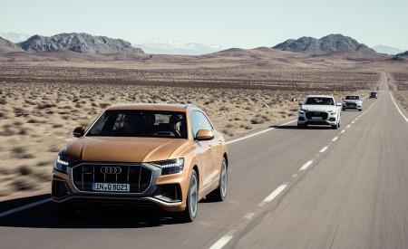 2019 Audi Q8 Front Wallpapers 450x275 (240)