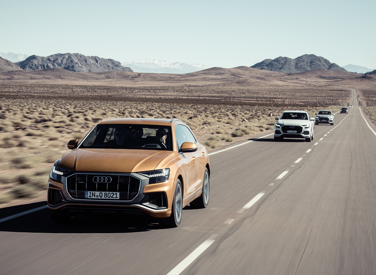 2019 Audi Q8 Front Wallpapers #240 of 260